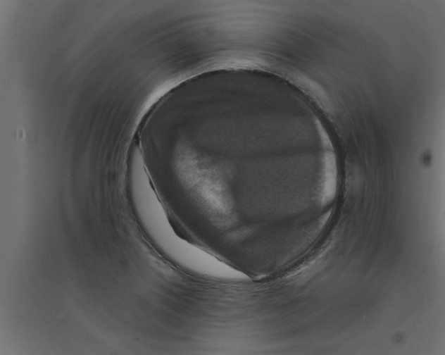 X0000094231226200711241737