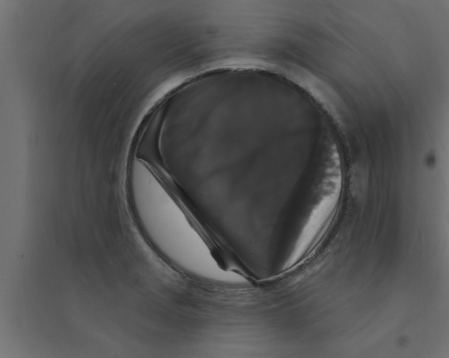 X0000094231229200711241737
