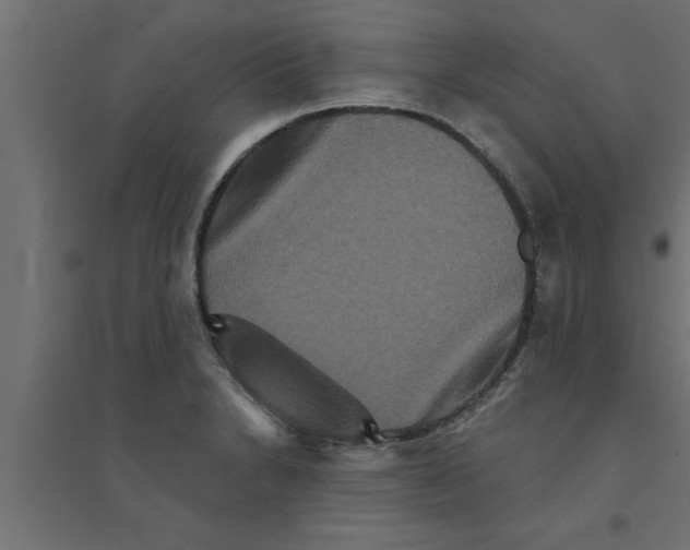 X0000094231230200711241737