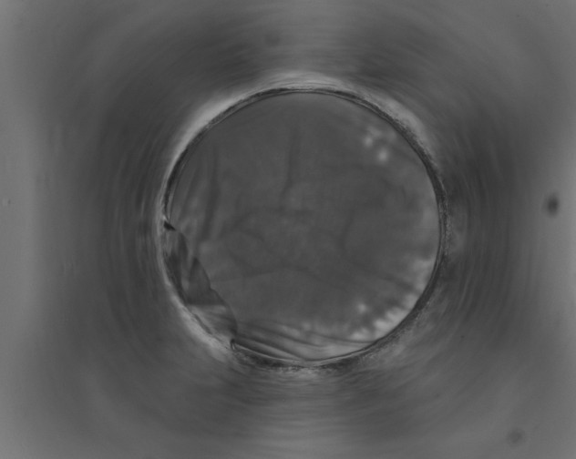 X0000094231231200711241737