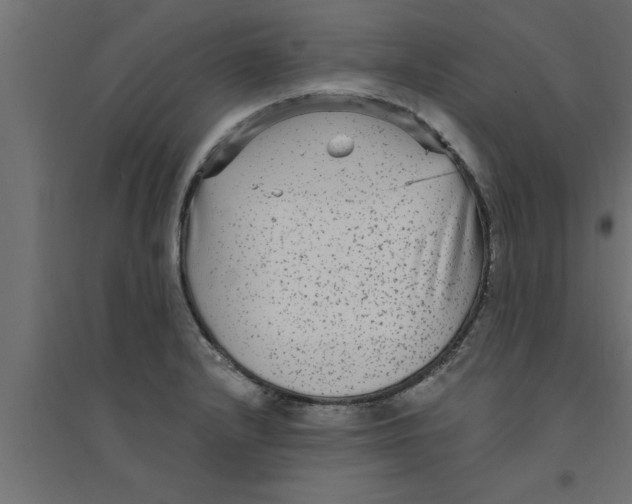 X0000094231232200711241737