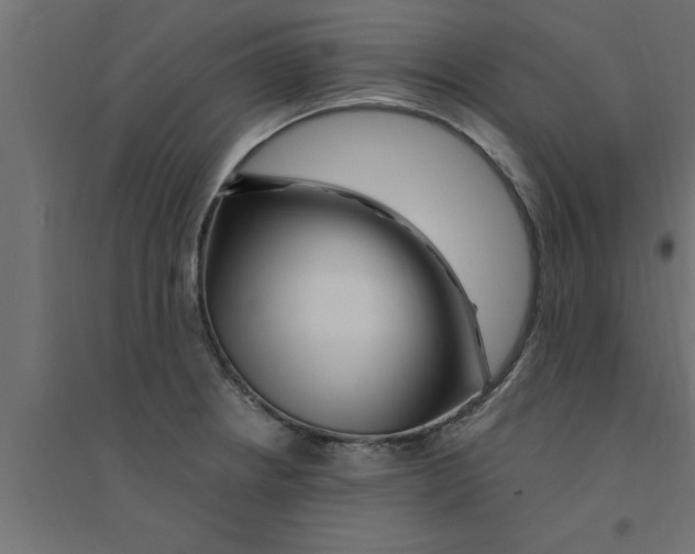 X0000094231234200711241737