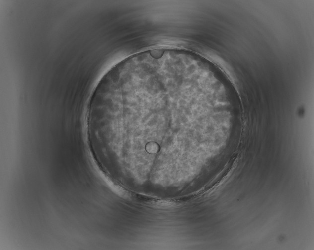 X0000094231235200711241737