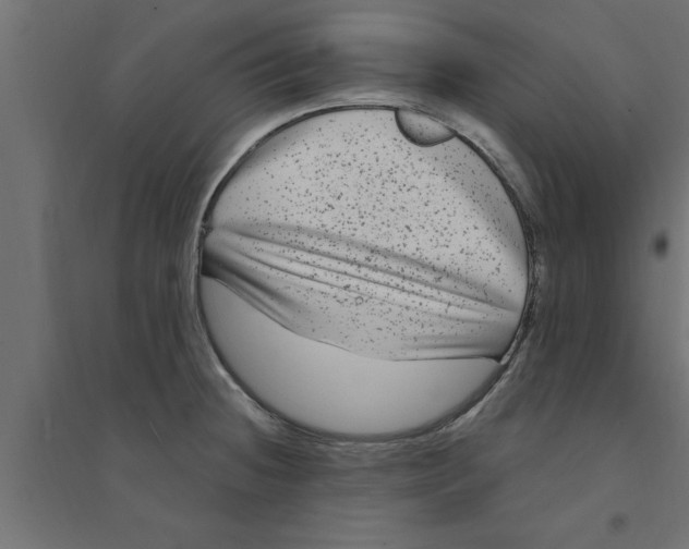 X0000094231236200711241737