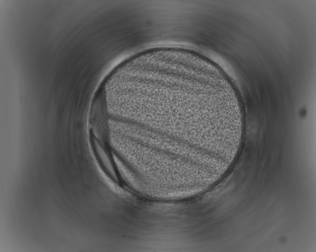 X0000094231237200711241737