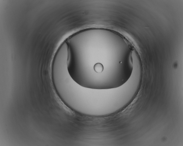 X0000094231238200711241737
