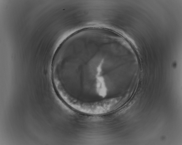 X0000094231239200711241737