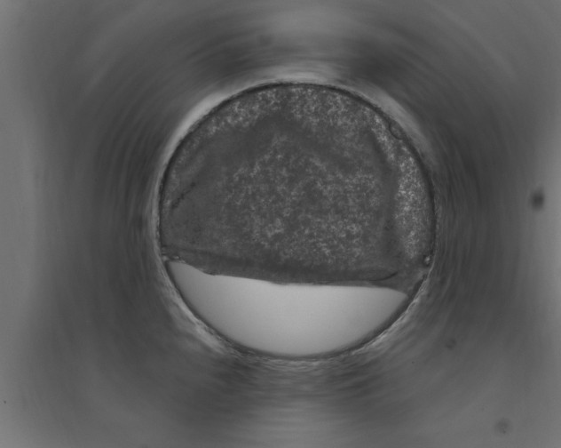 X0000094231240200711241737