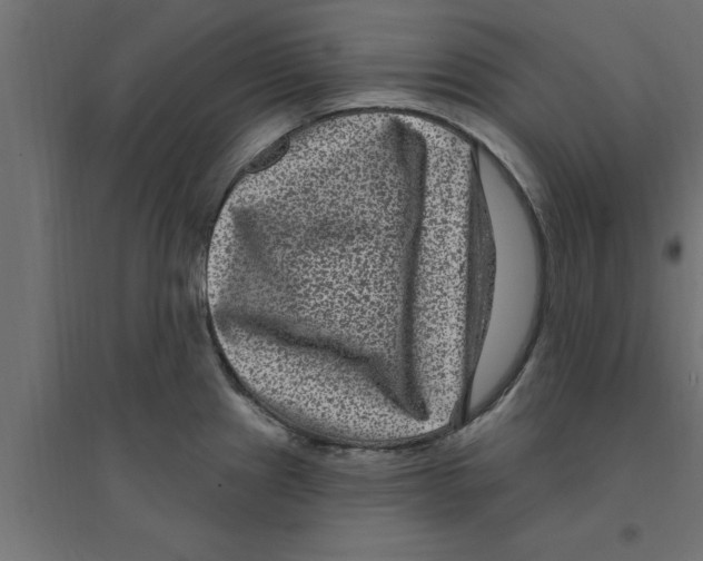 X0000094231241200711241737
