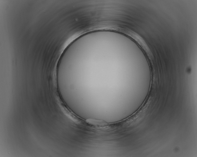 X0000094231242200711241737