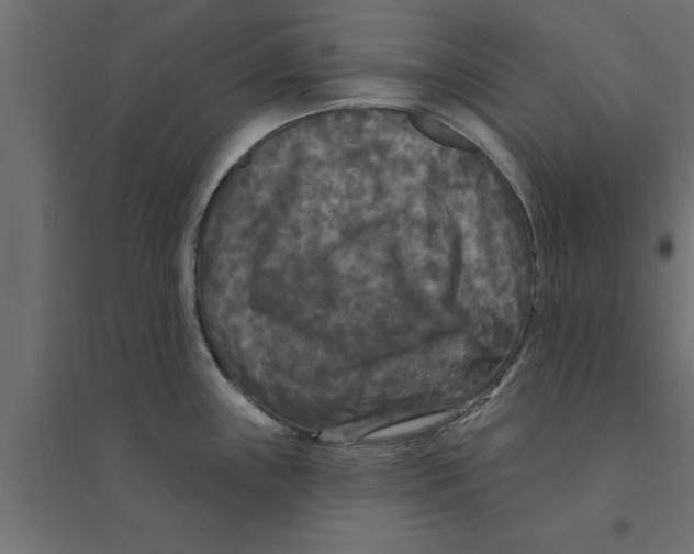 X0000094231243200711241737