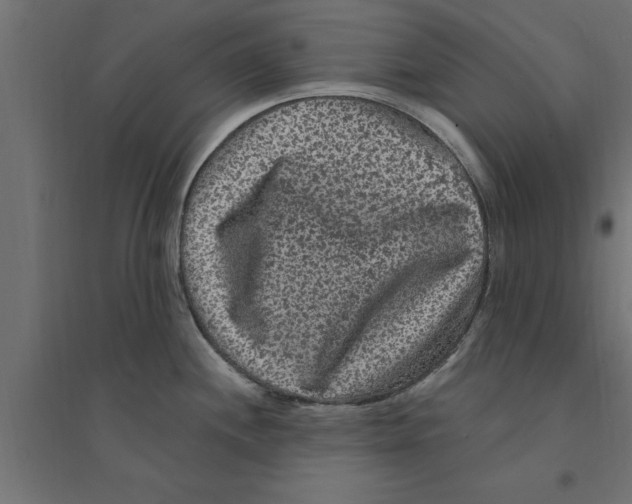 X0000094231244200711241737