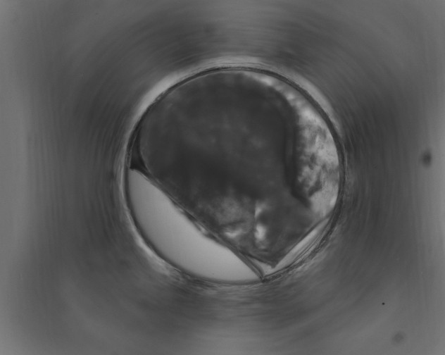 X0000094231245200711241737