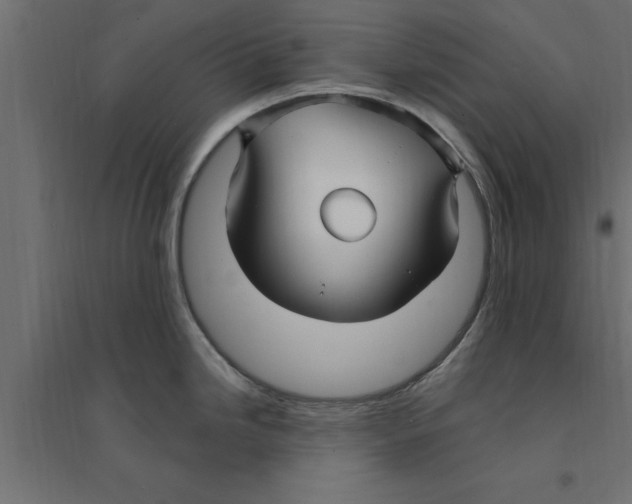 X0000094231246200711241737