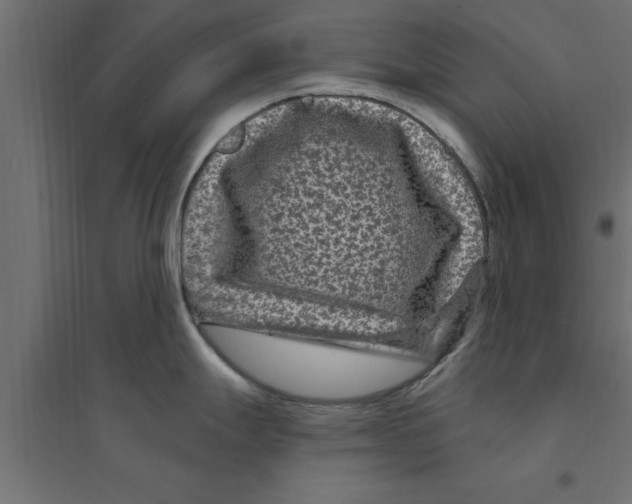 X0000094231247200711241737