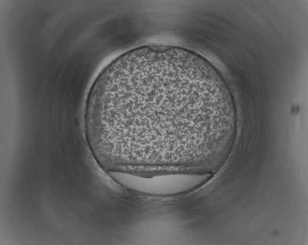 X0000094231248200711241737