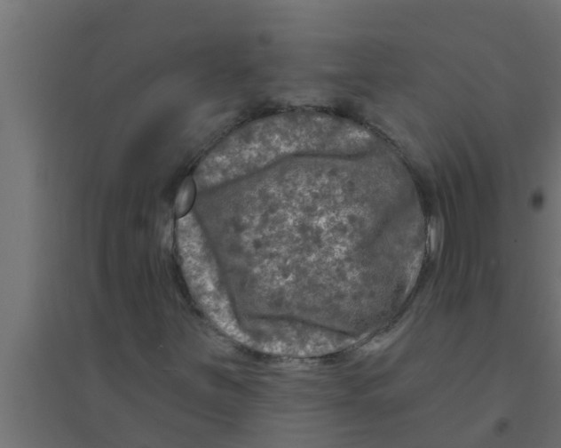 X0000094231251200711241737