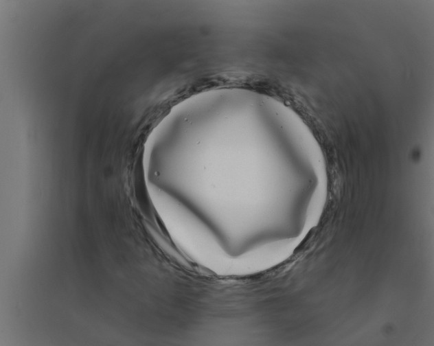 X0000094231253200711241737