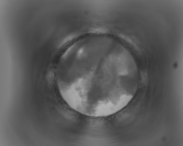X0000094231254200711241737