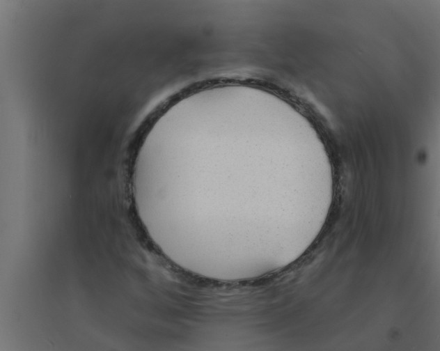 X0000094231256200711241737