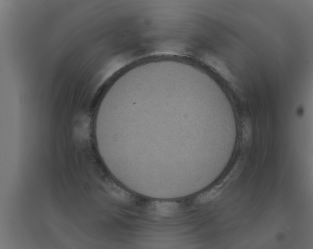 X0000094231258200711241737