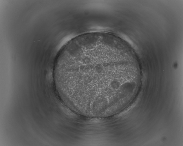 X0000094231259200711241737
