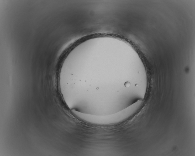 X0000094231262200711241737