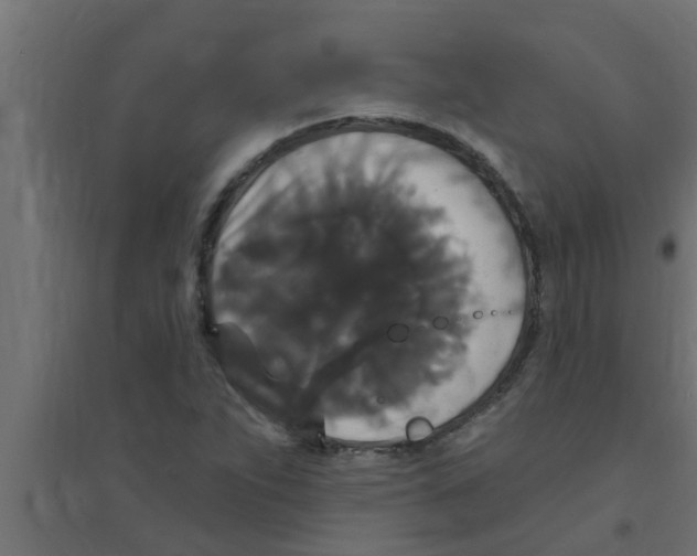 X0000094231263200711241737