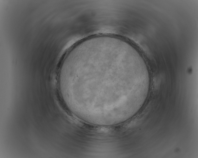 X0000094231266200711241736