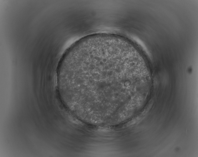 X0000094231267200711241736