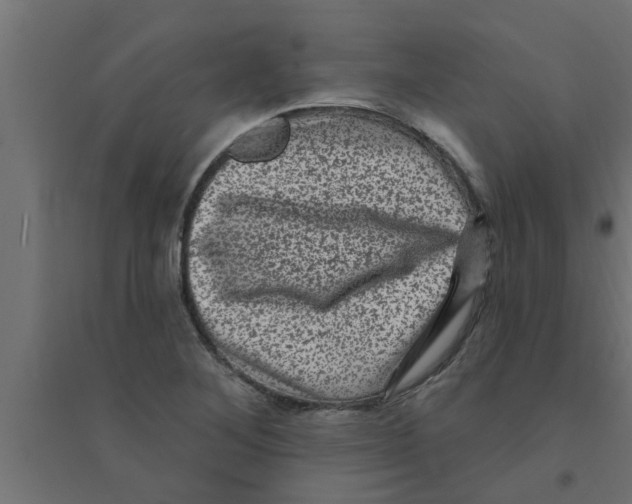 X0000094231268200711241736
