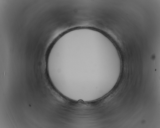 X0000094231270200711241736