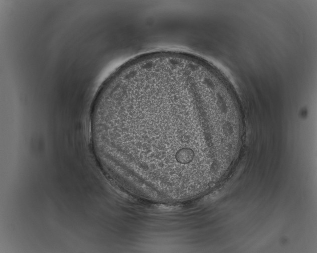 X0000094231271200711241736