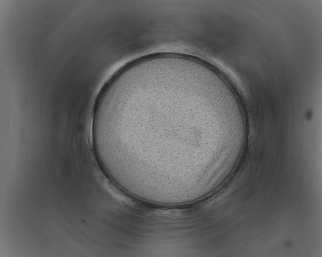 X0000094231272200711241736