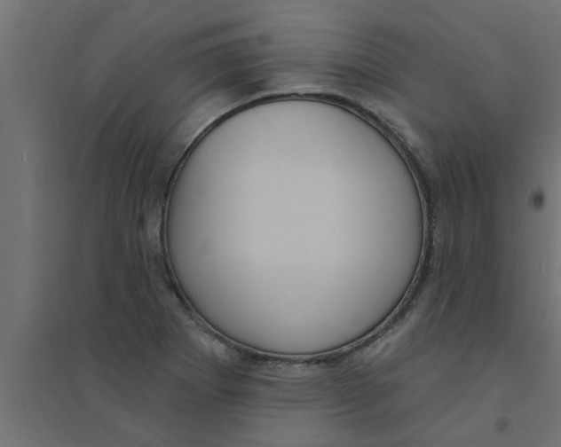 X0000094231273200711241736