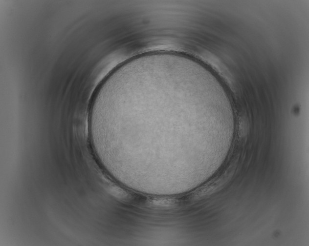 X0000094231274200711241736