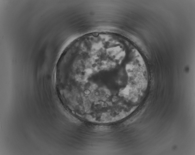 X0000094231275200711241736