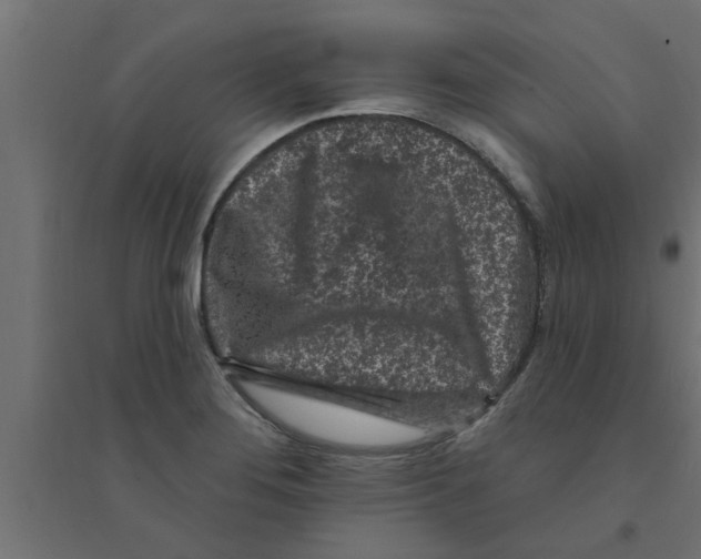 X0000094231276200711241736