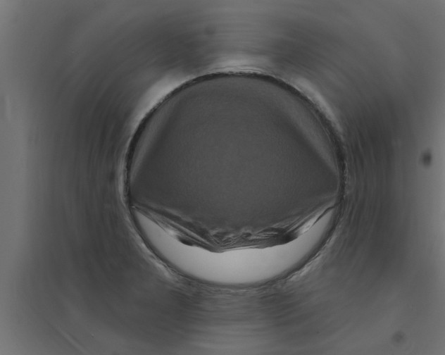 X0000094231277200711241736