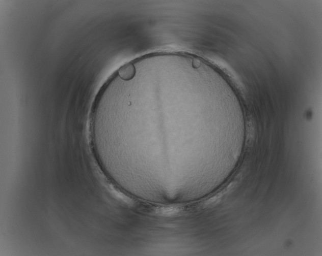 X0000094231278200711241736