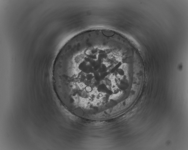 X0000094231279200711241736