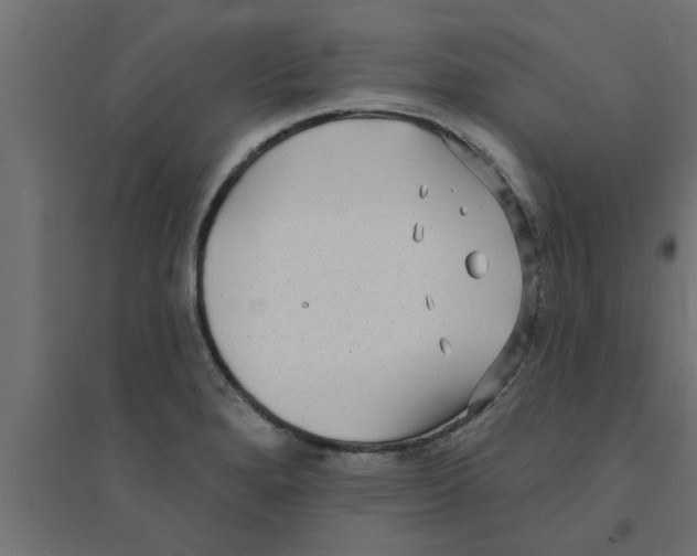 X0000094231280200711241736