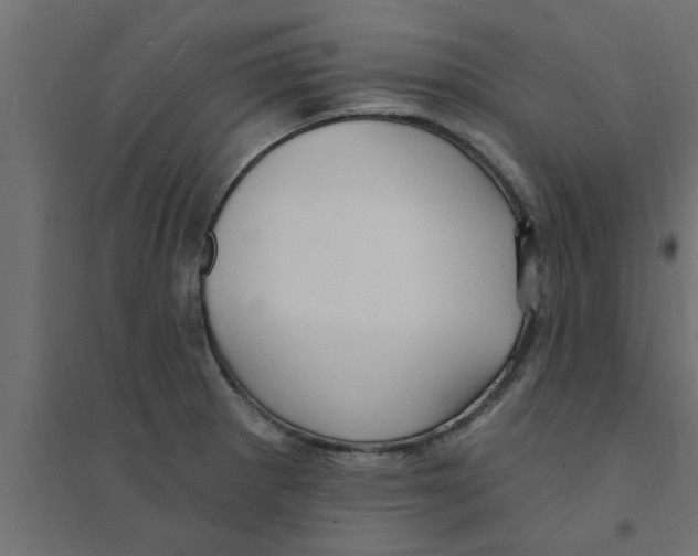 X0000094231281200711241736