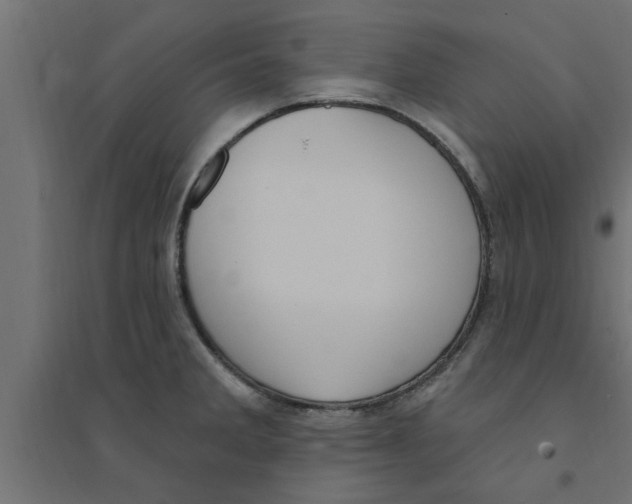 X0000094231285200711241736
