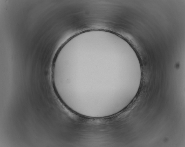 X0000094231286200711241736