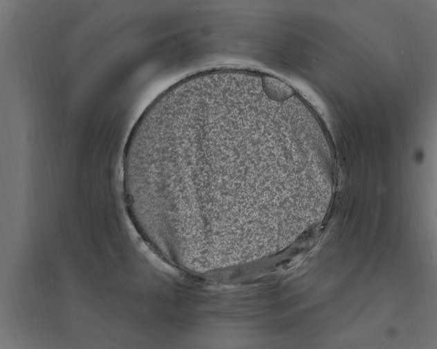 X0000094231287200711241736