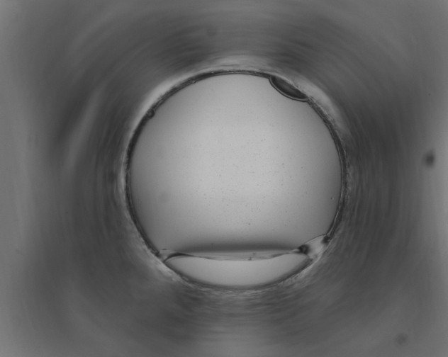 X0000094231288200711241736