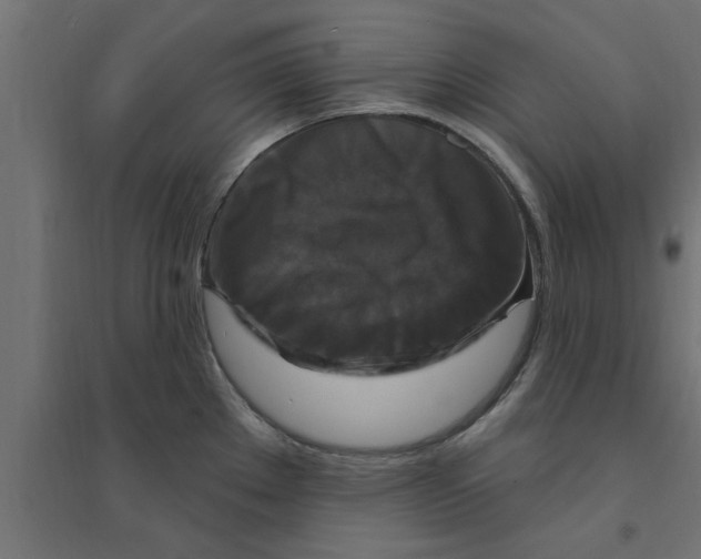 X0000094231289200711241736