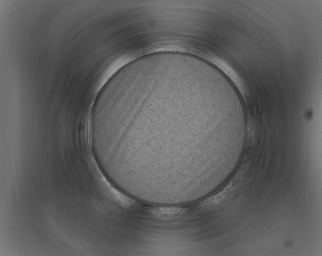 X0000094231290200711241736