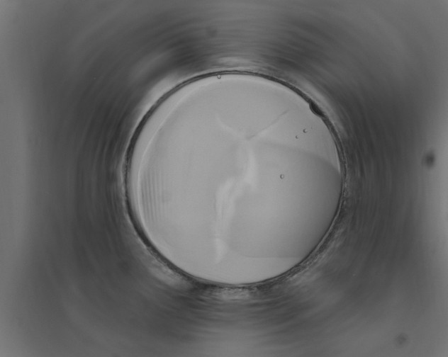 X0000094231291200711241736